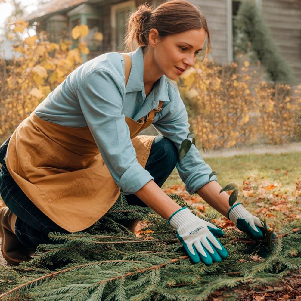 Как восстанавливать почву в саду